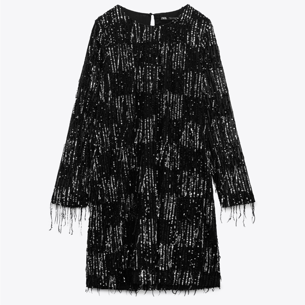 NWT Zara Sequin Fringed Mini Dress - Picture 8 of 9